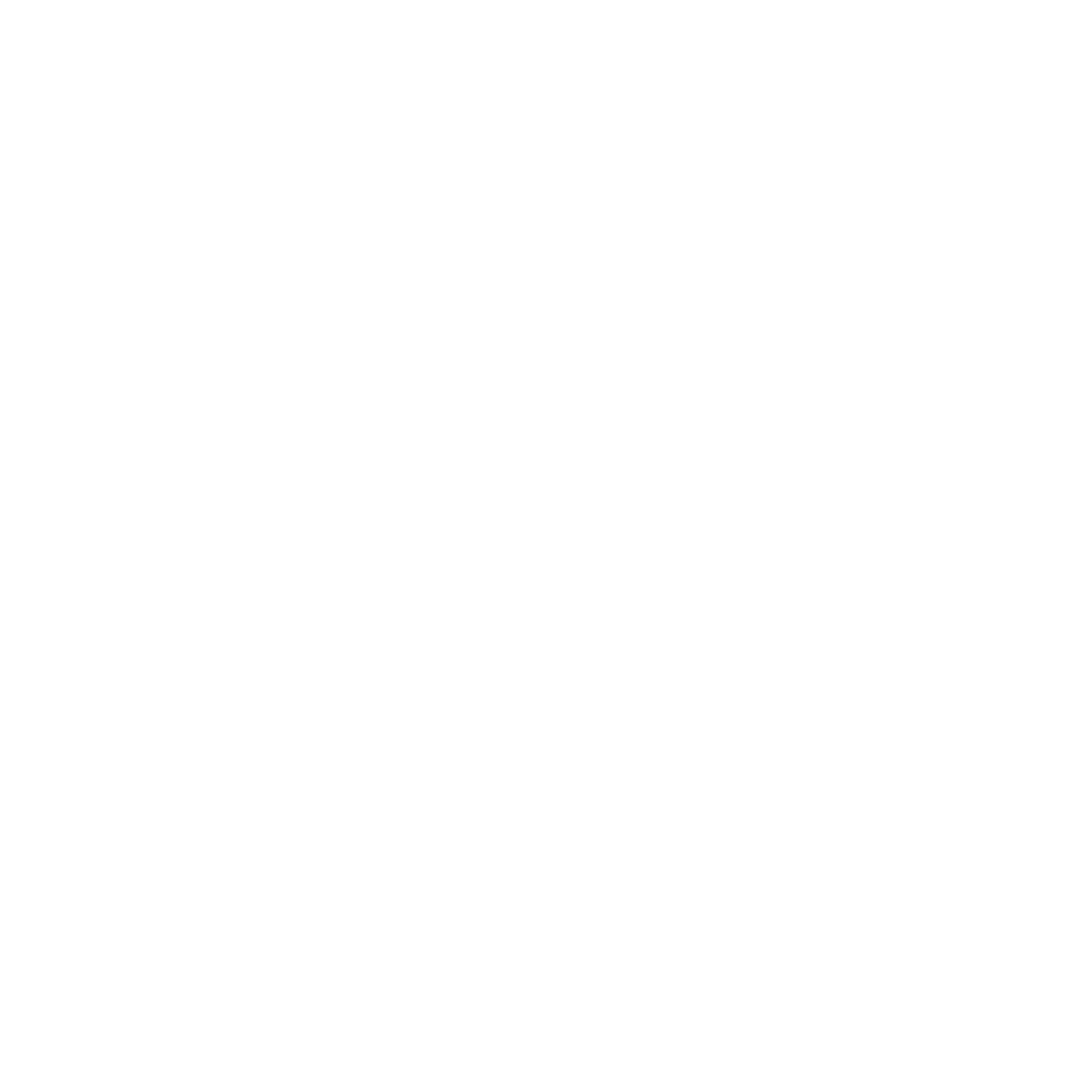 twitter icon